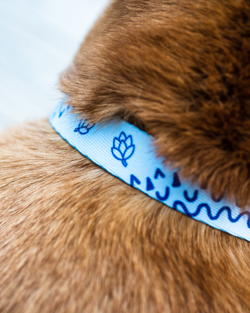 Levante Dog Collar